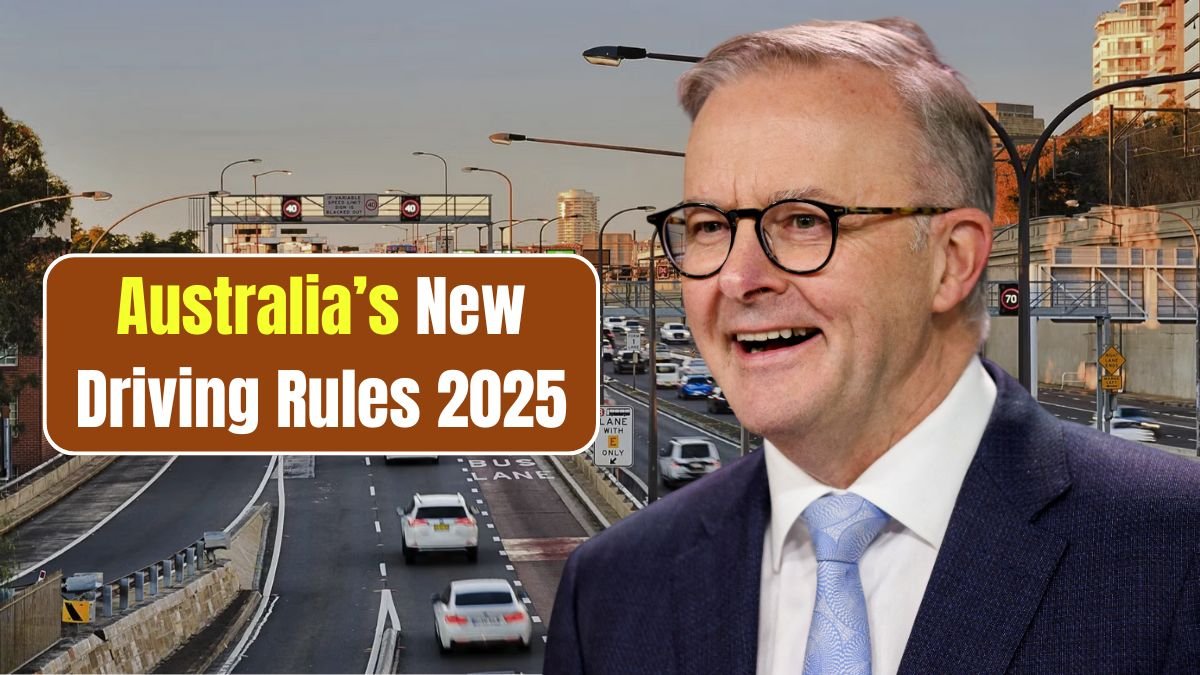 New Driving Rules 2025